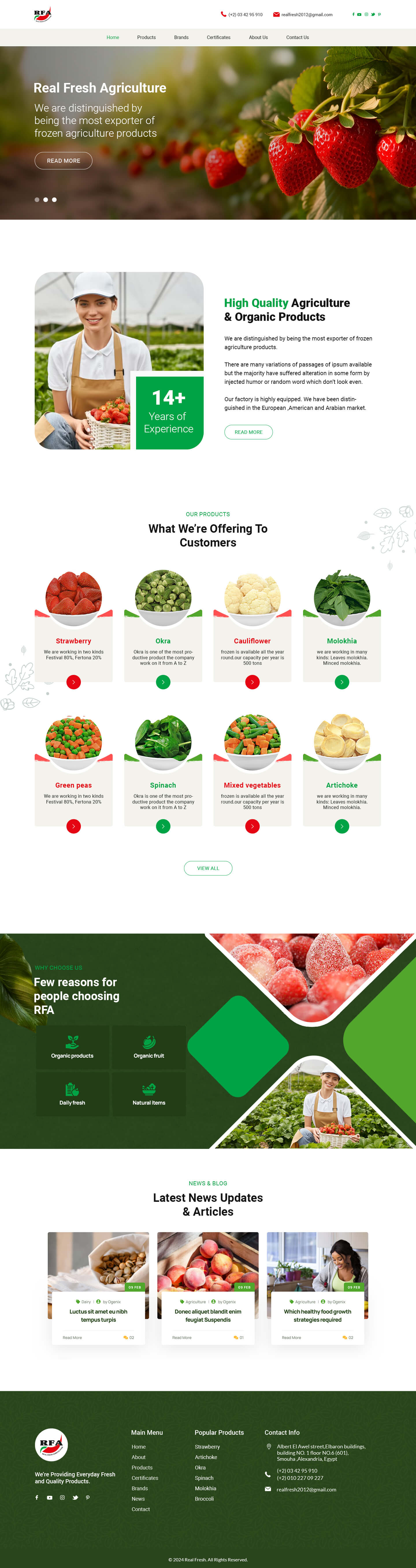 website designed & developed by Mohamed Halim – Dev Tales